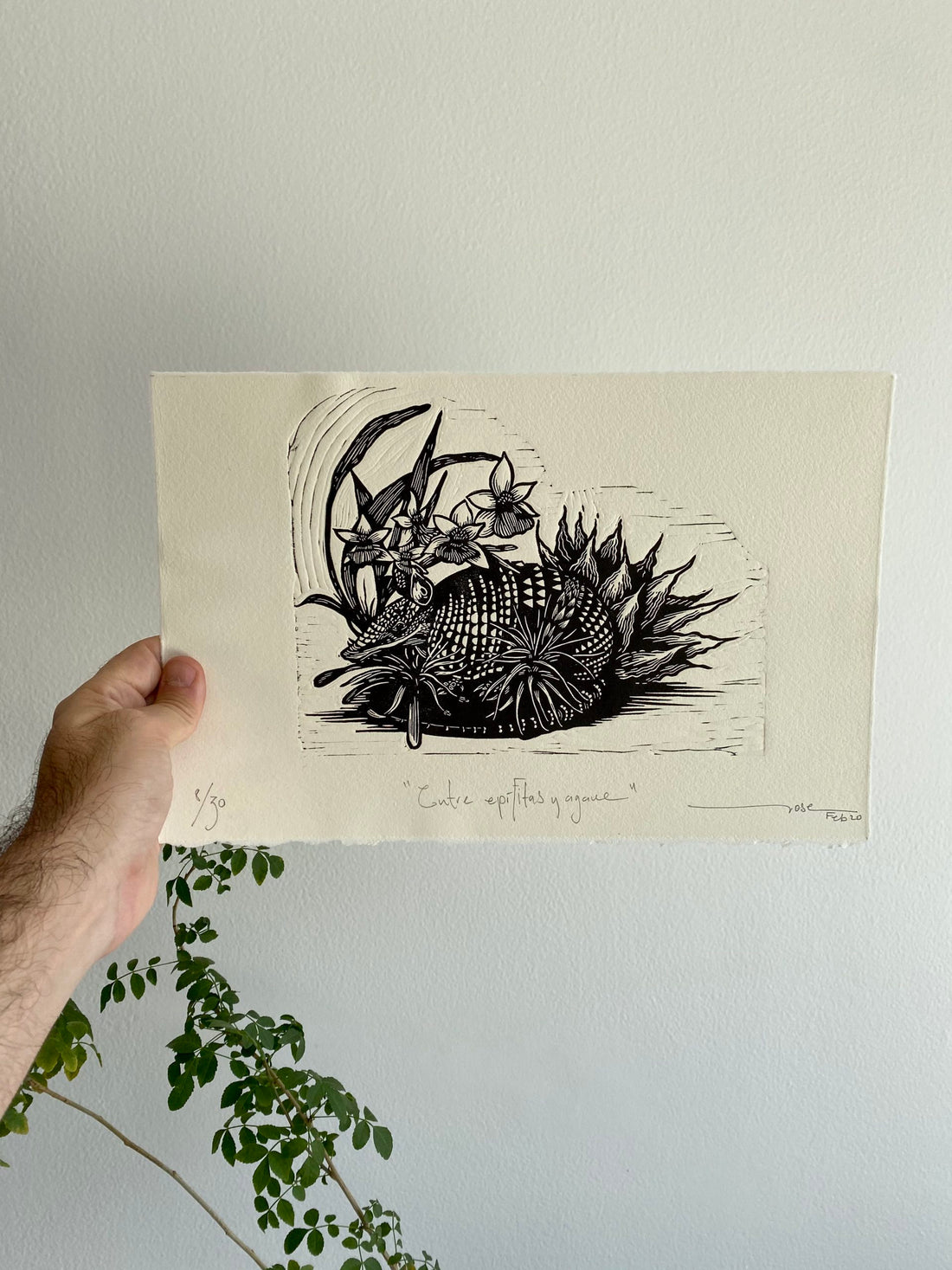 “Entre epífitas y agave” (between epiphytes and agaves)