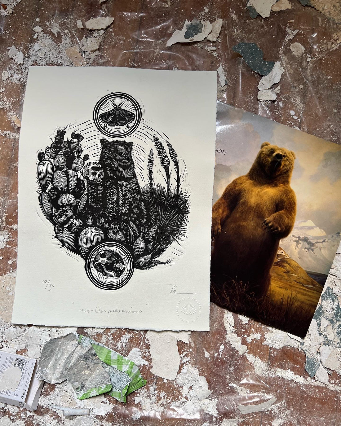 “1964 - Oso pardo mexicano”