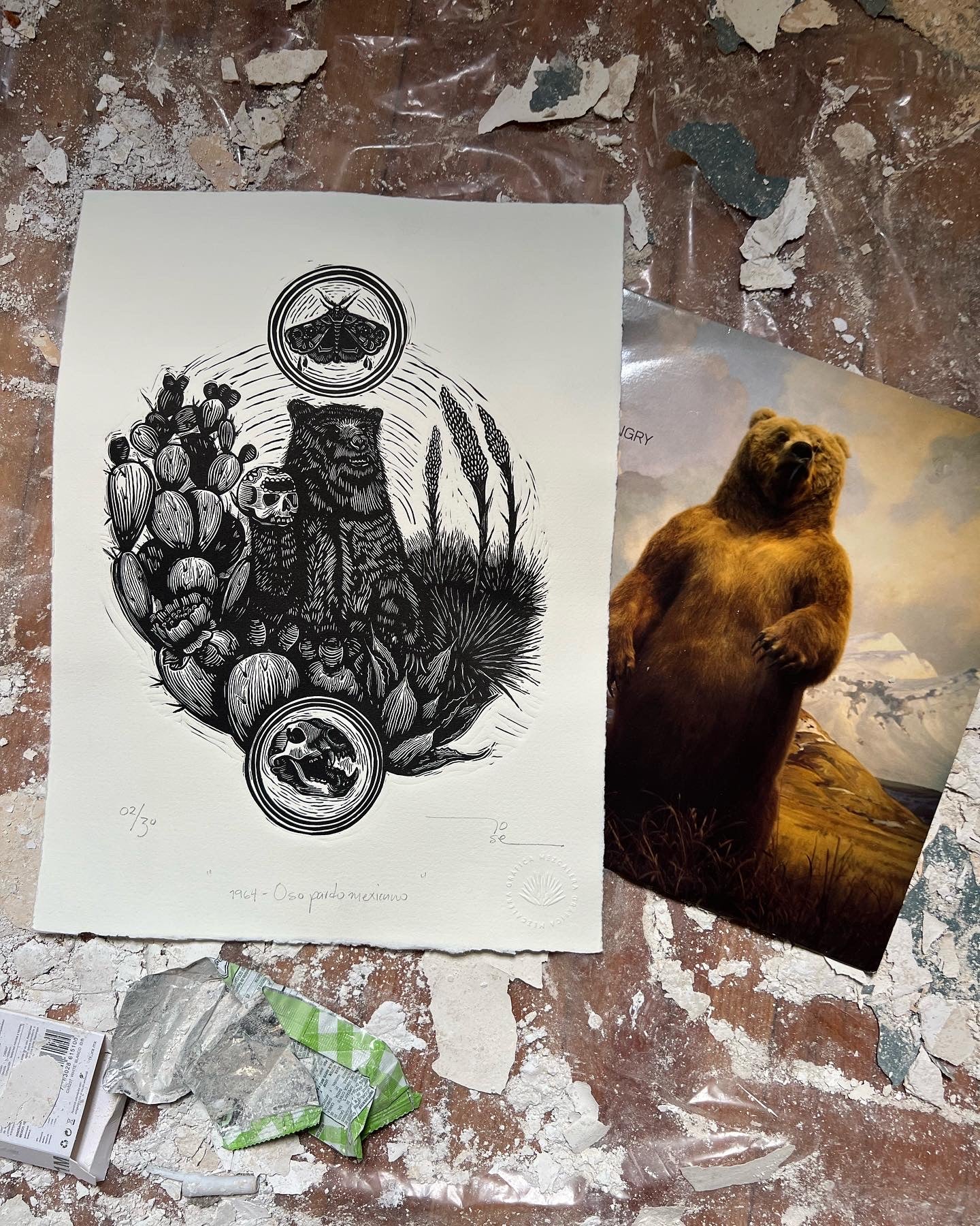 “1964 - Oso pardo mexicano”