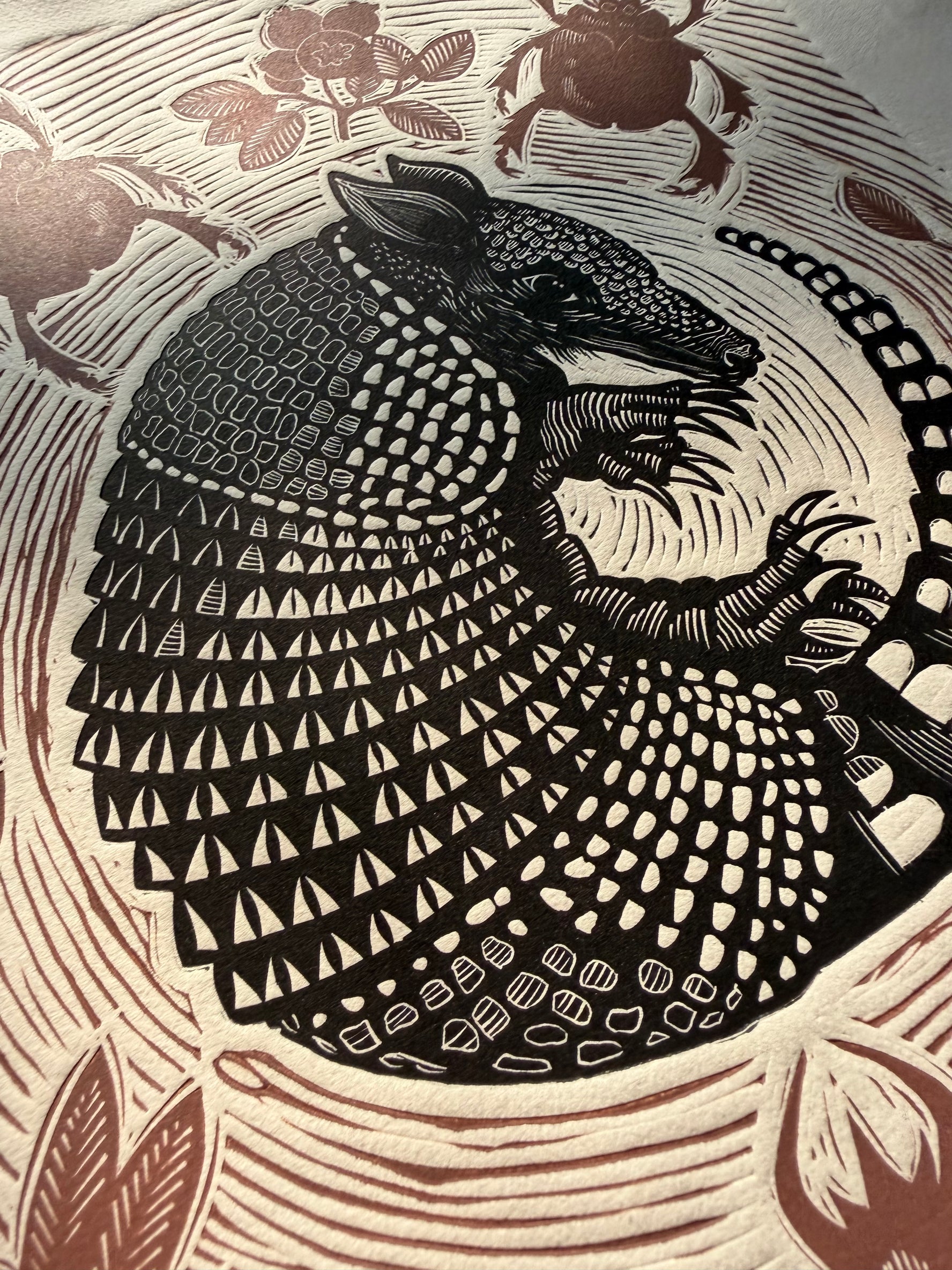 Armadillo