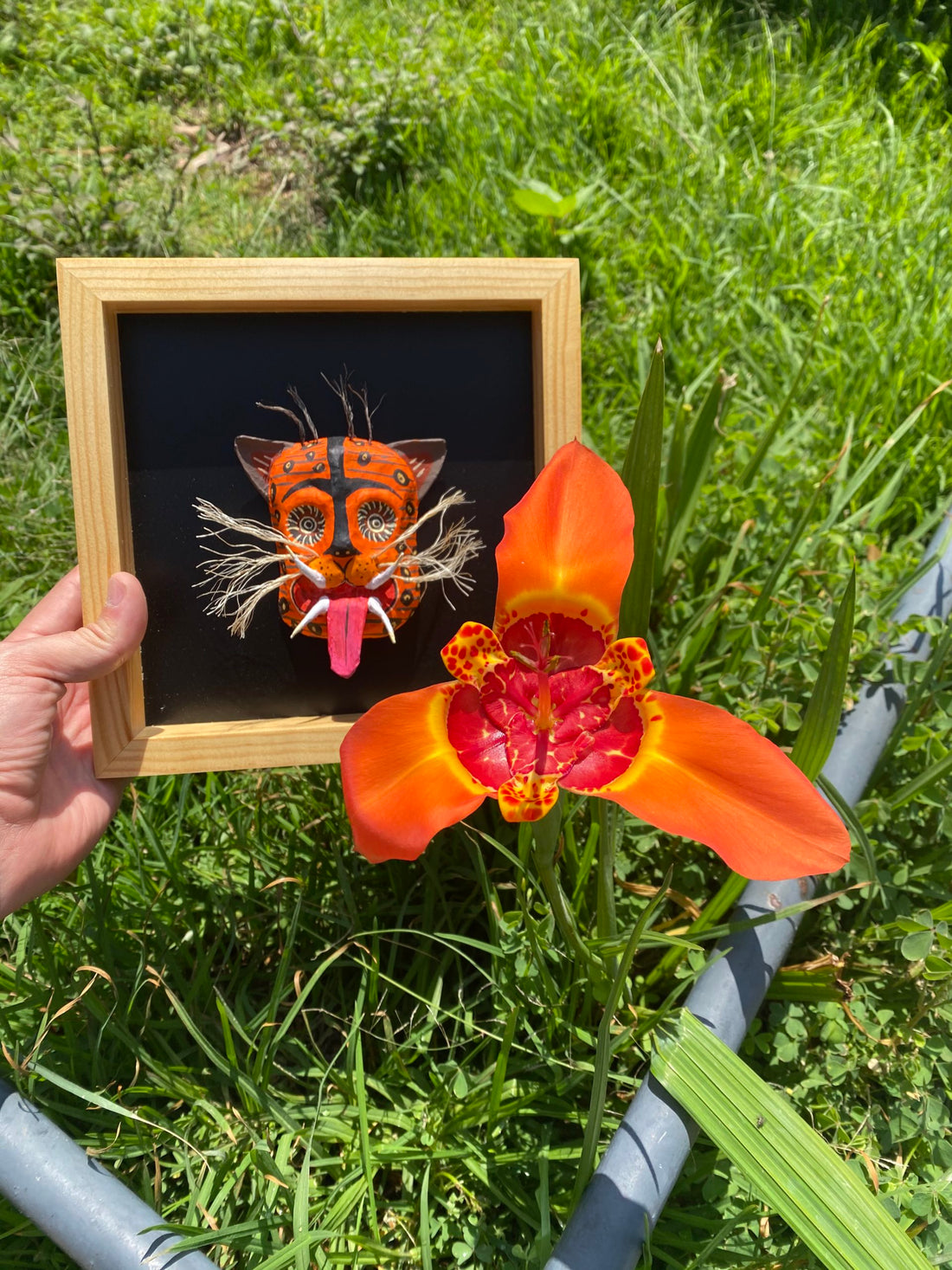 "Mascaritas” (Incluye 3 mascaras enmarcadas)