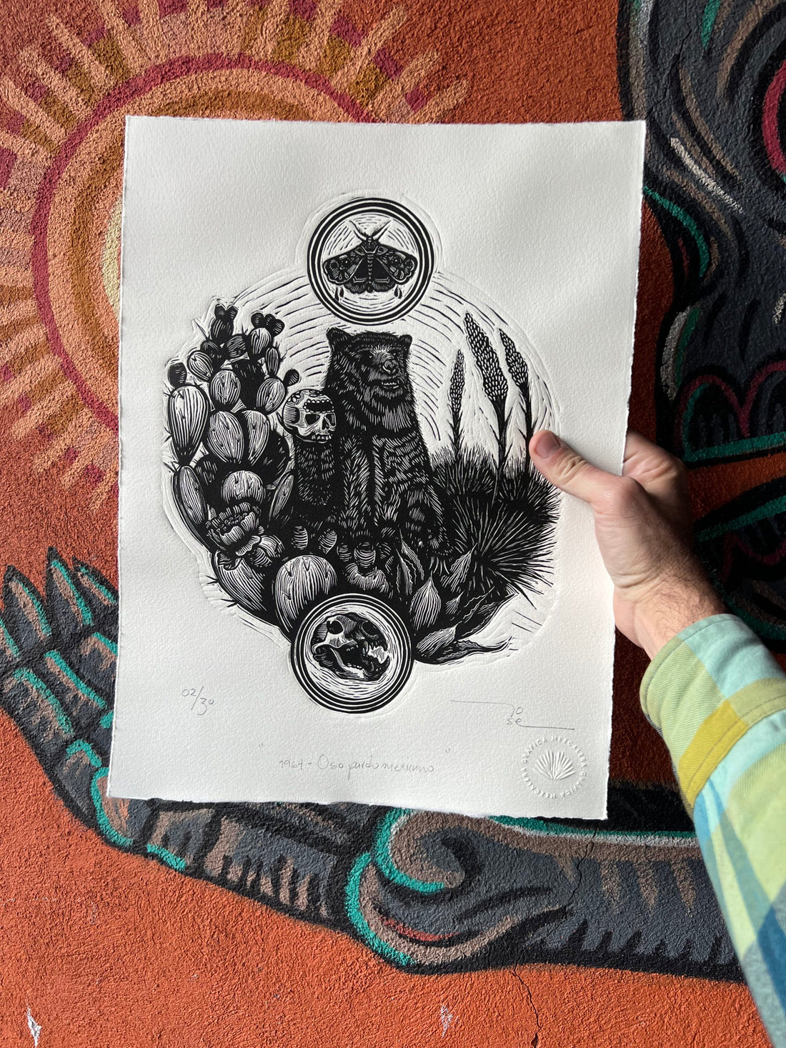 “1964 - Oso pardo mexicano”