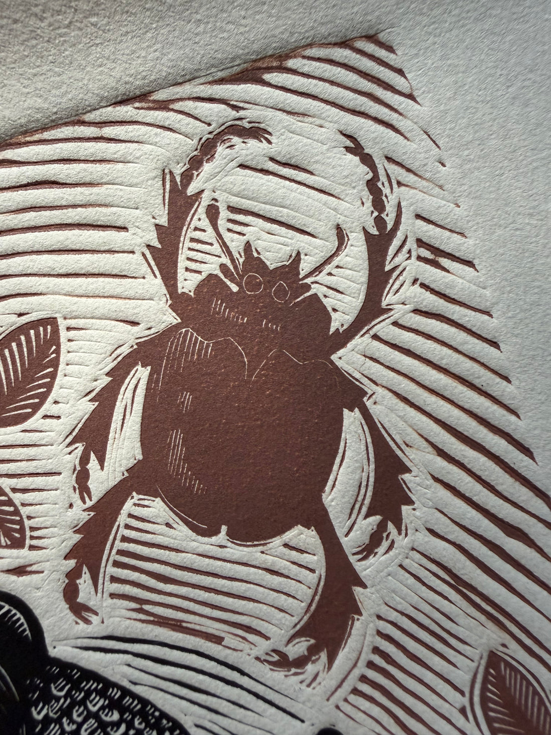 Armadillo