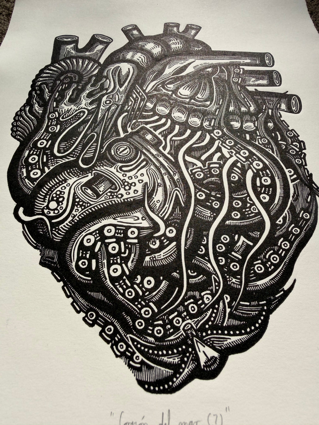 Corazón del mar (7)