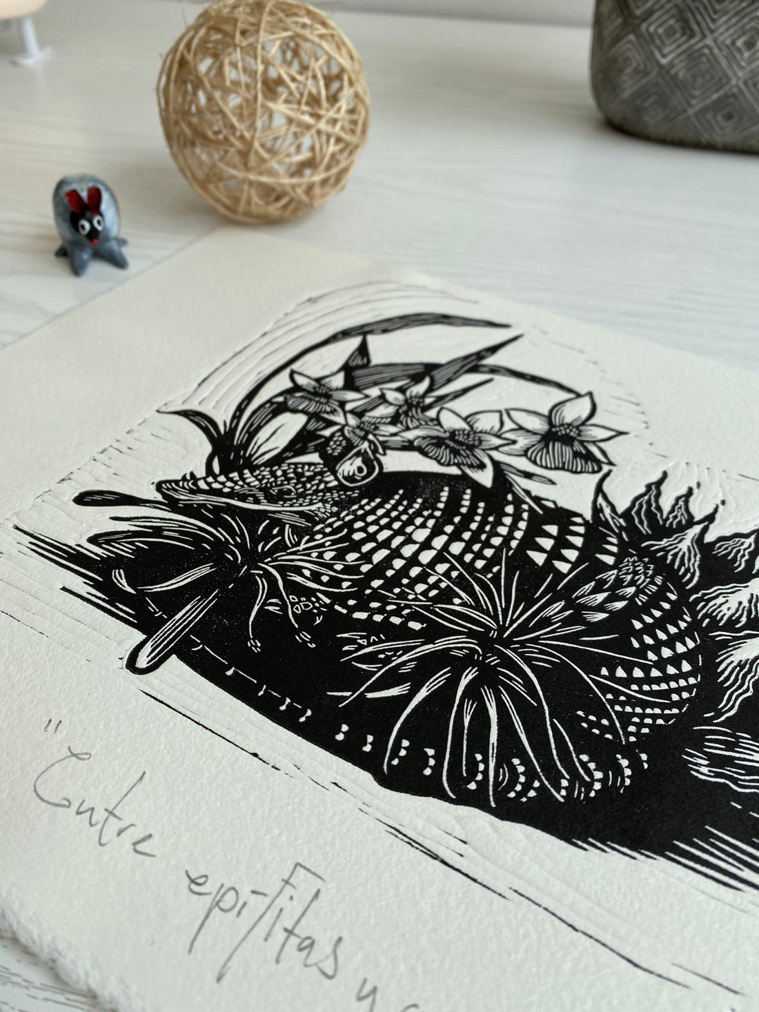 “Entre epífitas y agave” (between epiphytes and agaves)