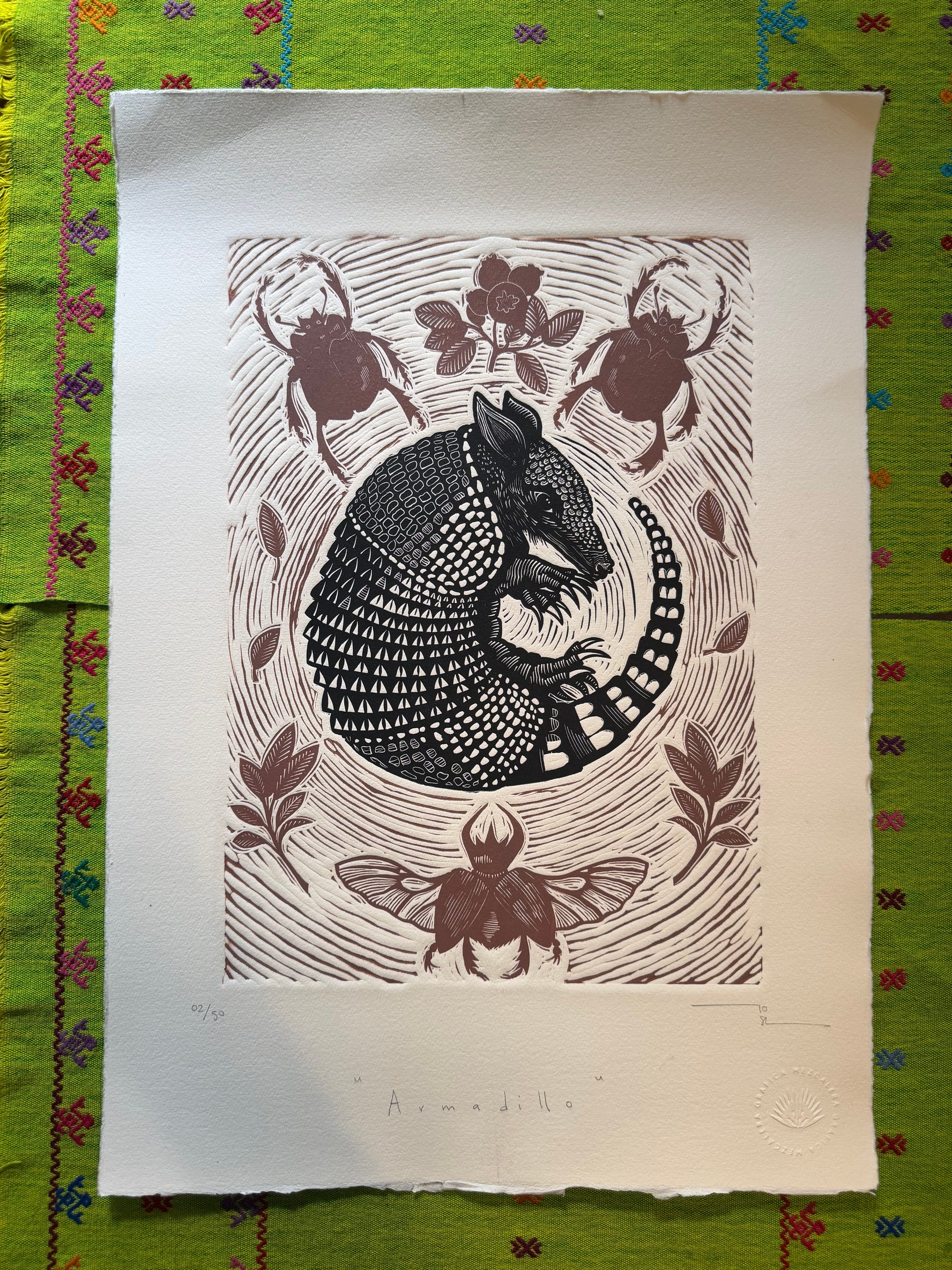 Armadillo