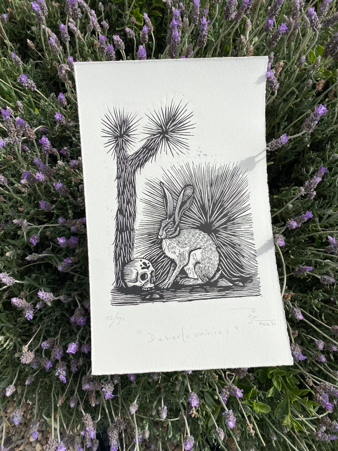 “Desierto Onírico”