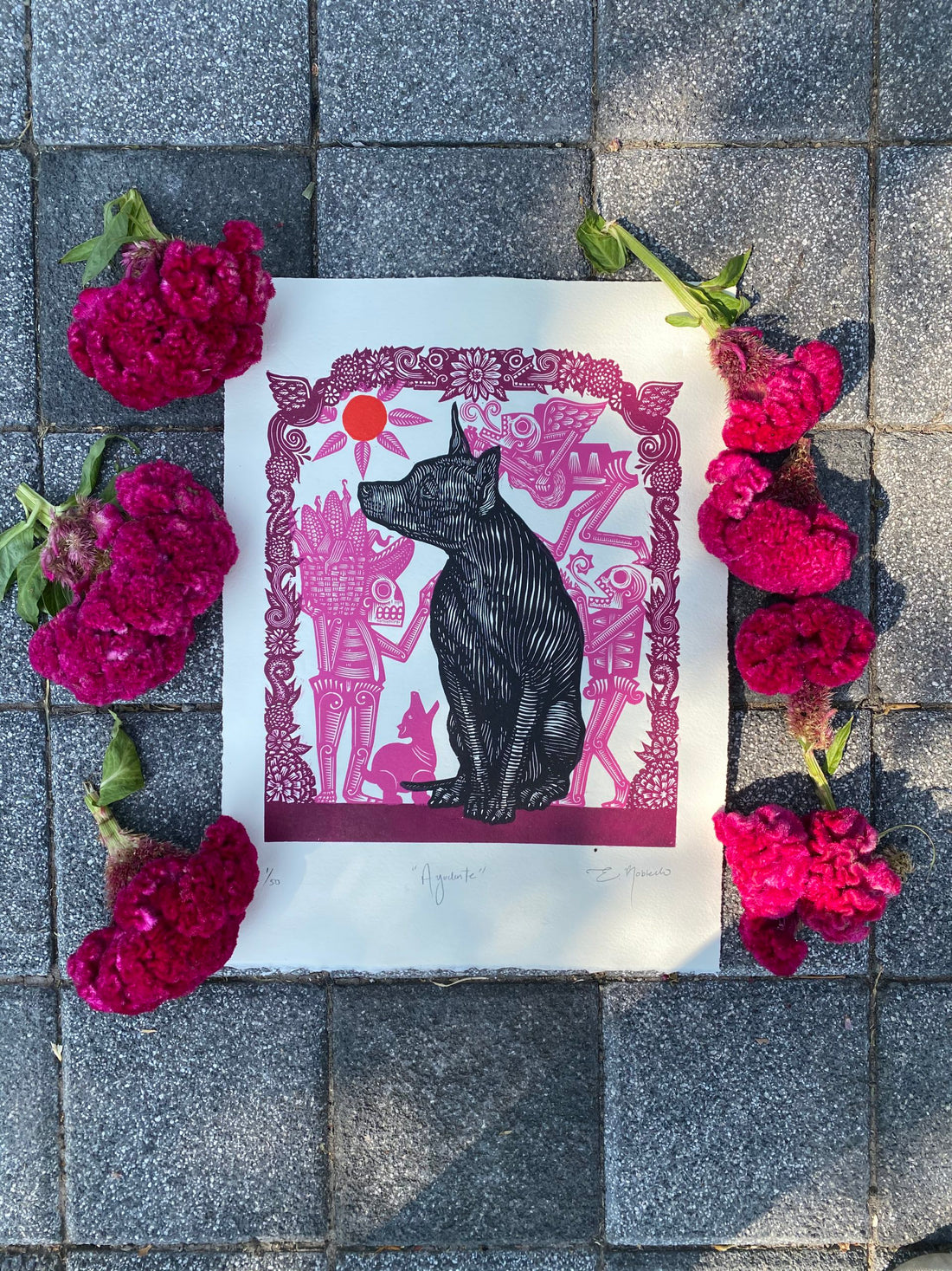 Ayudante (Special Edition)