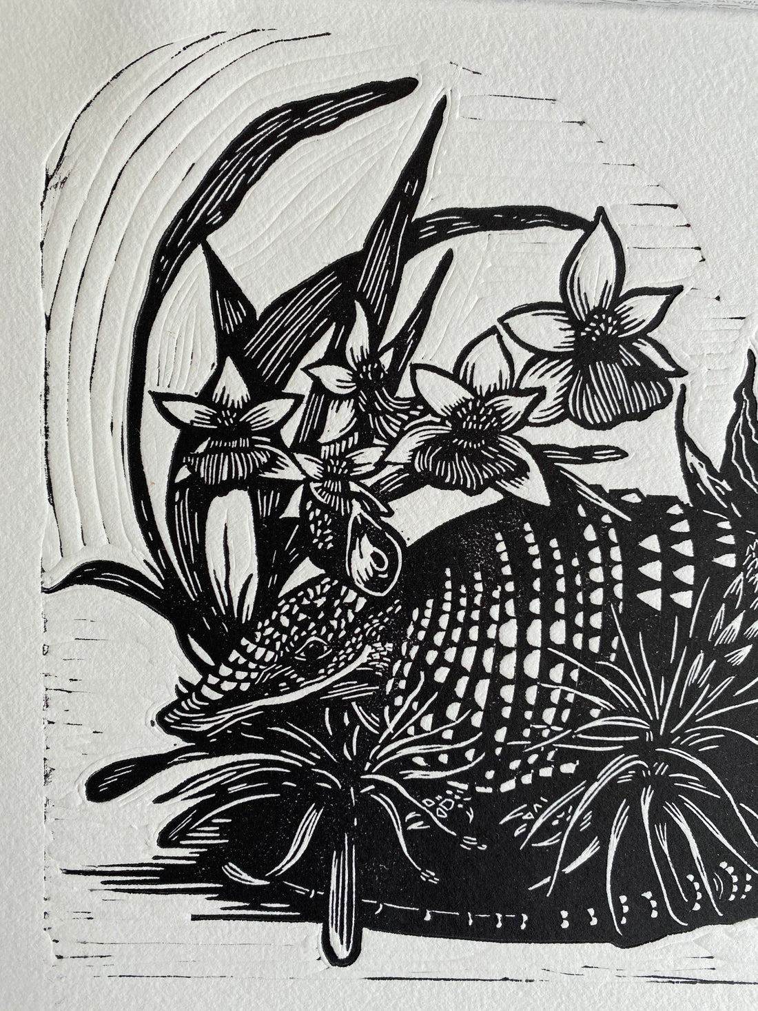 “Entre epífitas y agave” (between epiphytes and agaves)