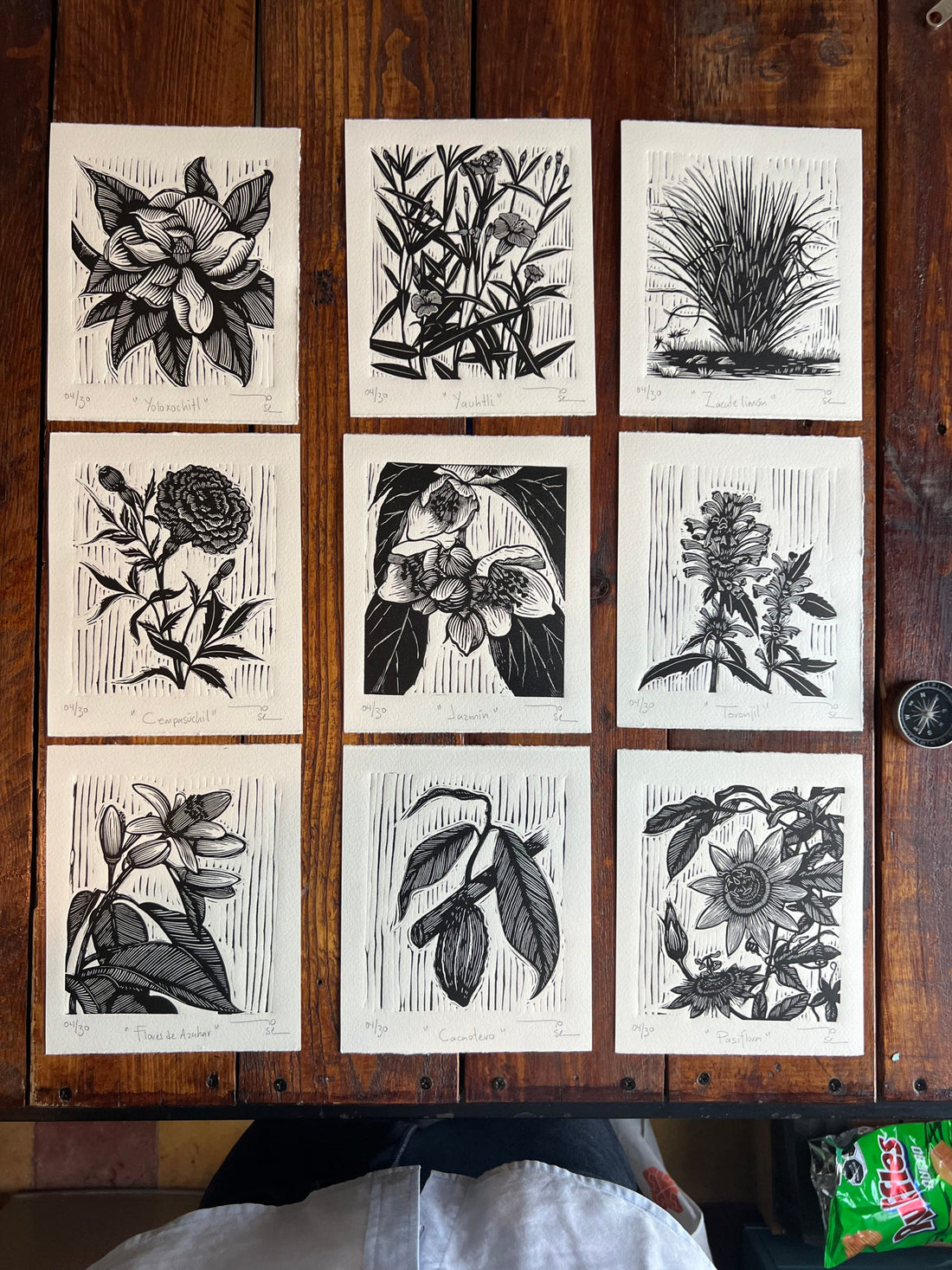 "Plantas medicinales” (set de 9 )