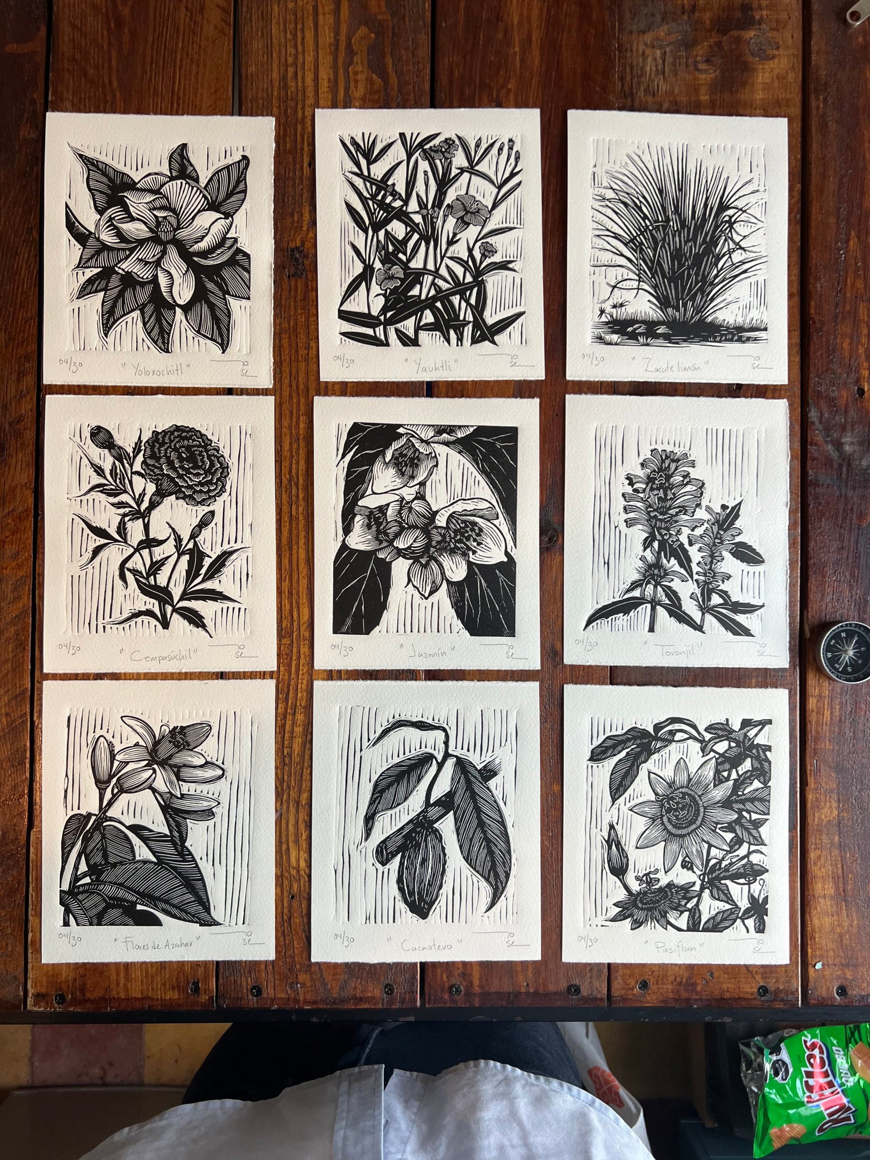 "Plantas medicinales” (set de 9 )