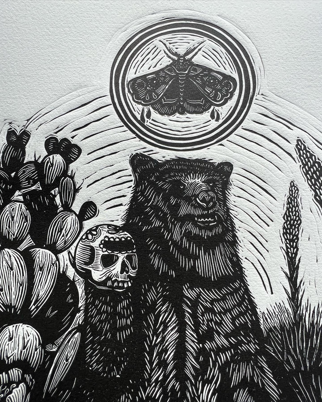 “1964 - Oso pardo mexicano”