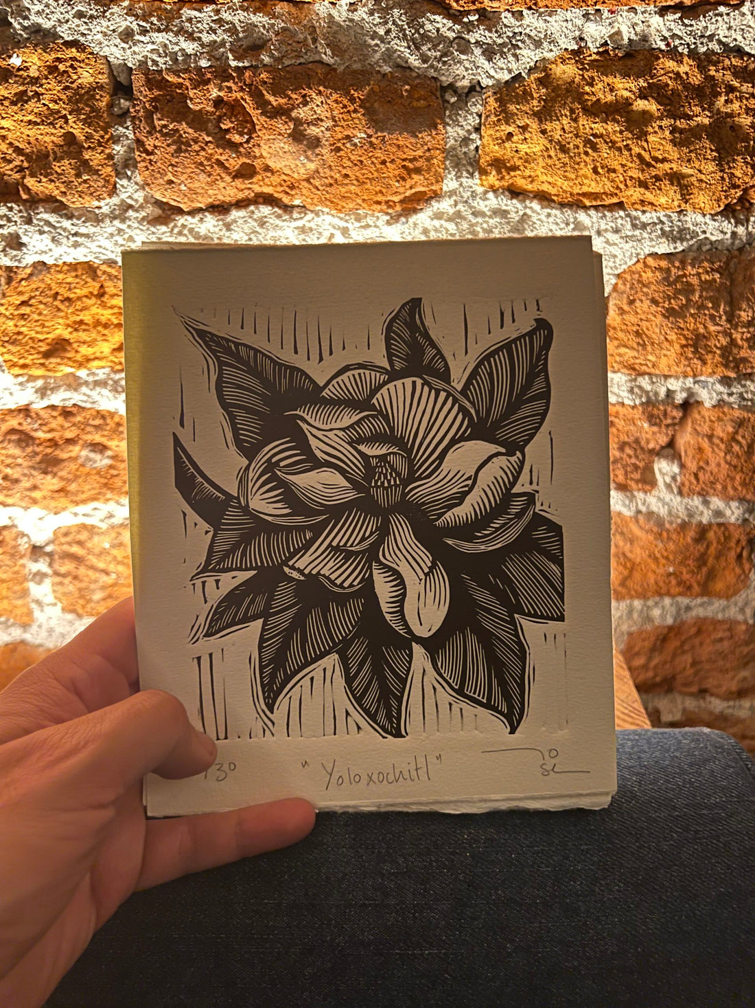 "Plantas medicinales” (set de 9 )