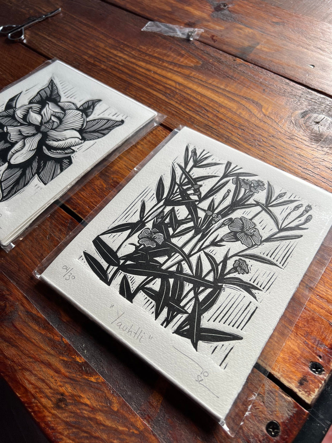 "Plantas medicinales” (set de 9 )