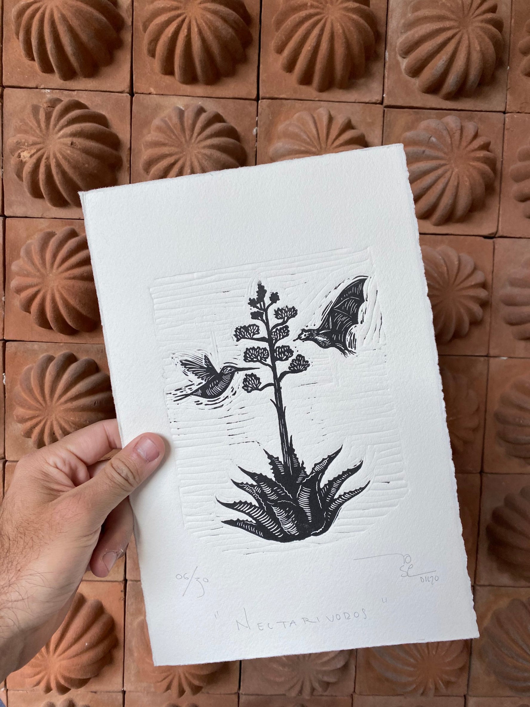 "Nectarívoros” (nectarivorous)