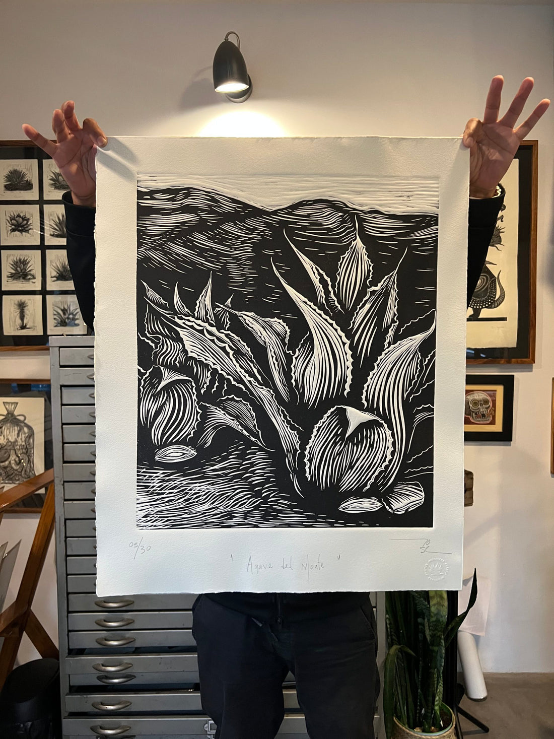 “Agave del monte” (Tepeztate)