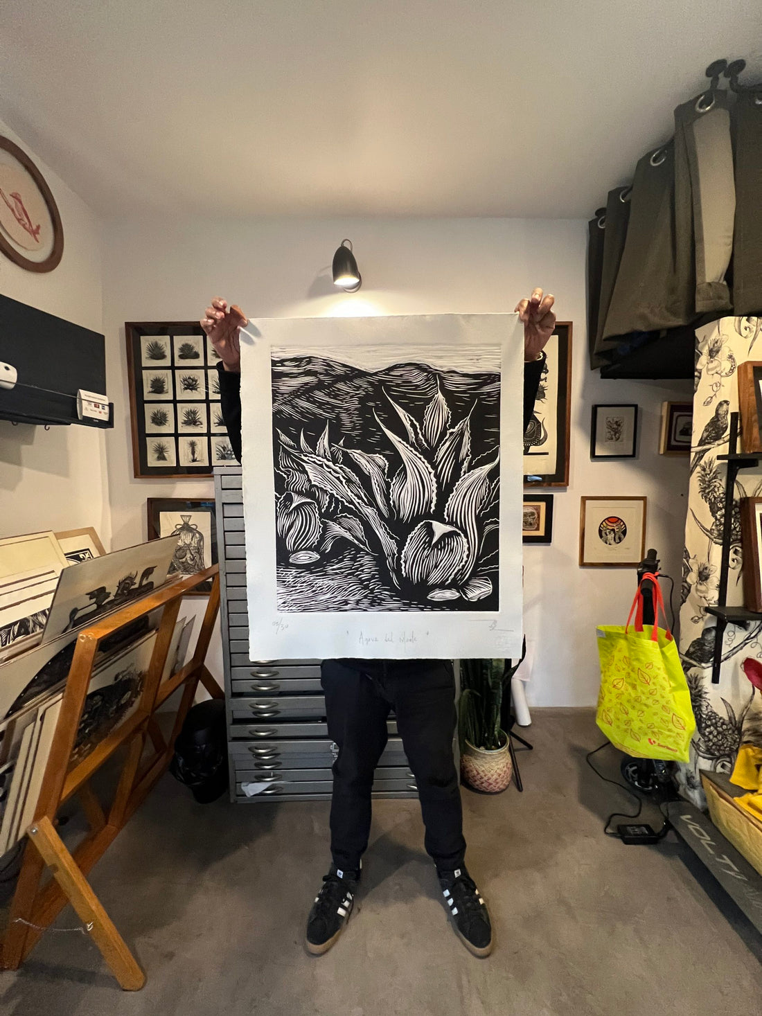 “Agave del monte” (Tepeztate)