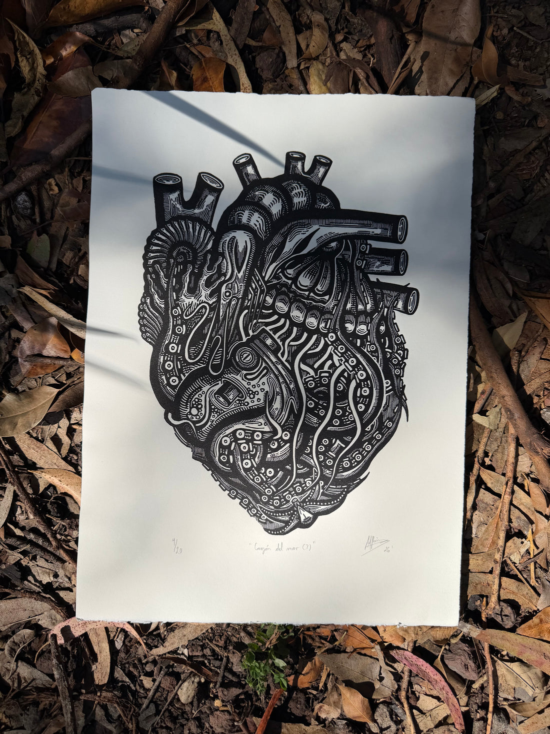 Corazón del mar (7)