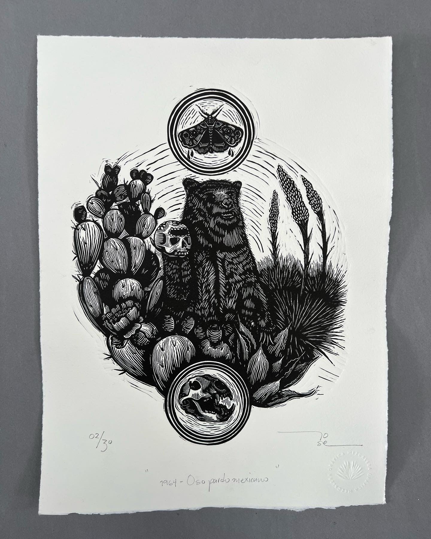 “1964 - Oso pardo mexicano”