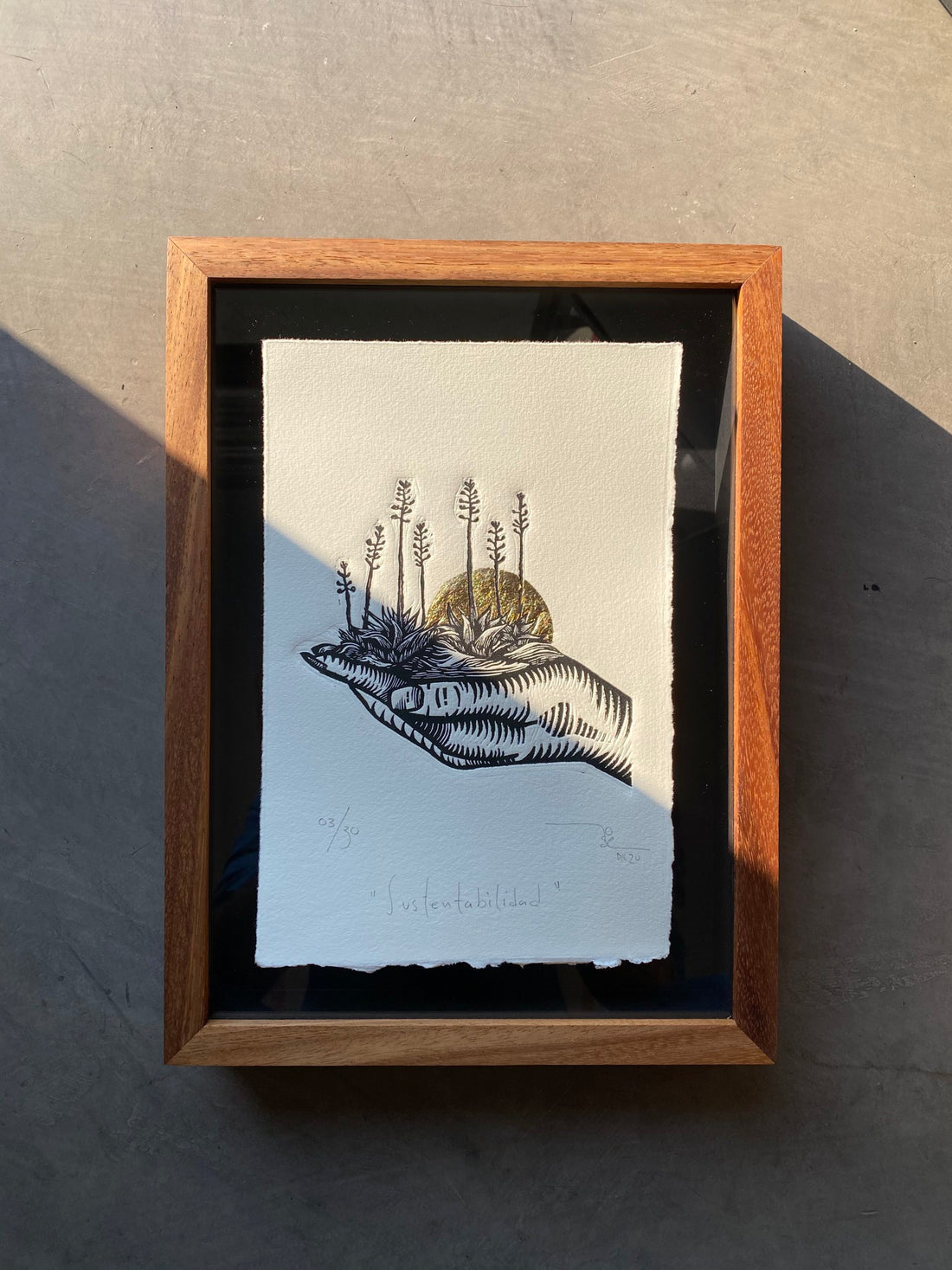 “Sustentabilidad”