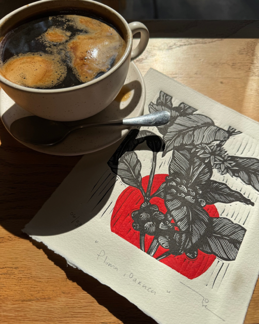 Café de México (set de 3 )