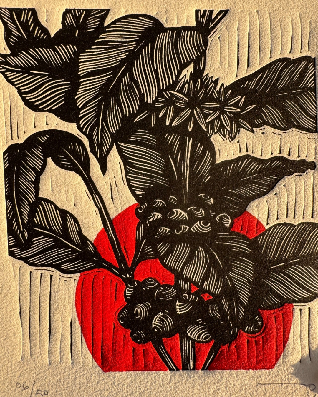 Café de México (set de 3 )