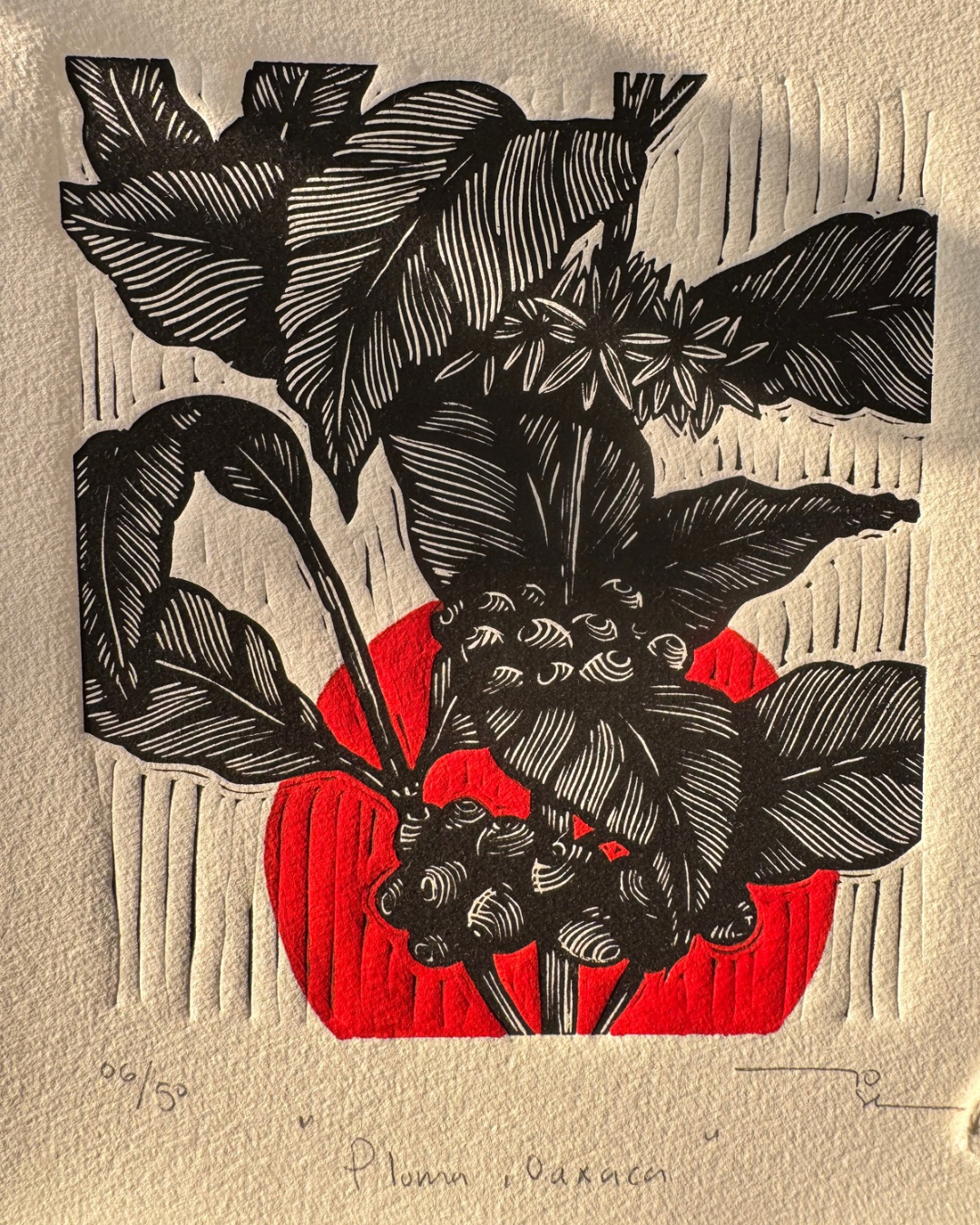 Café de México (set de 3 )