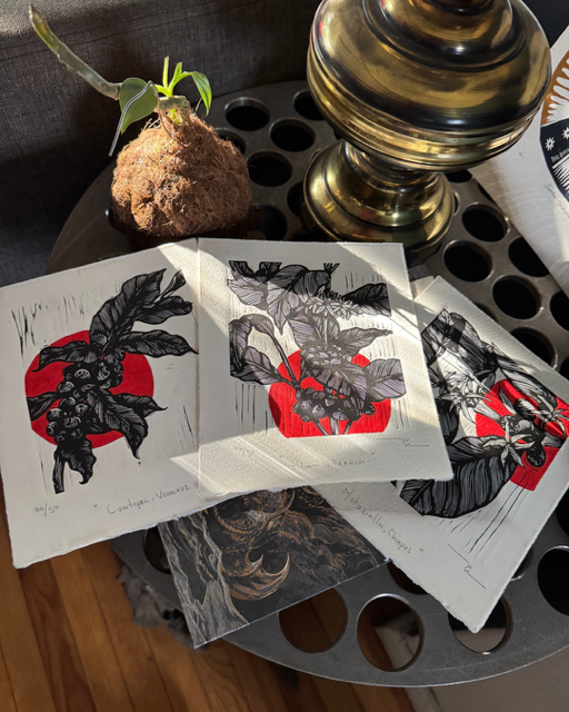 Café de México (set de 3 )