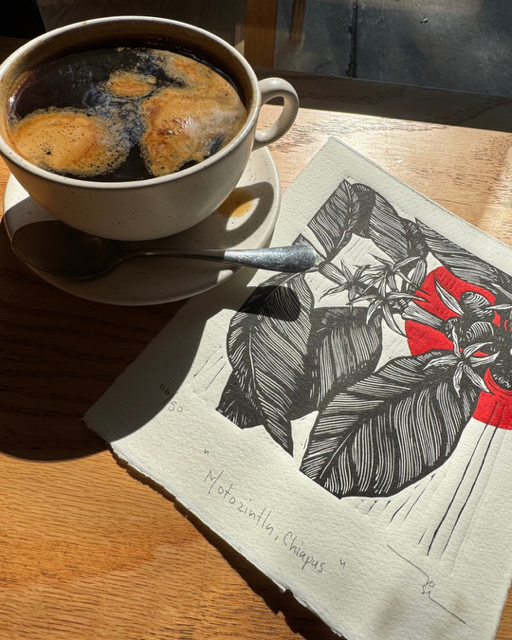 Café de México (set de 3 )