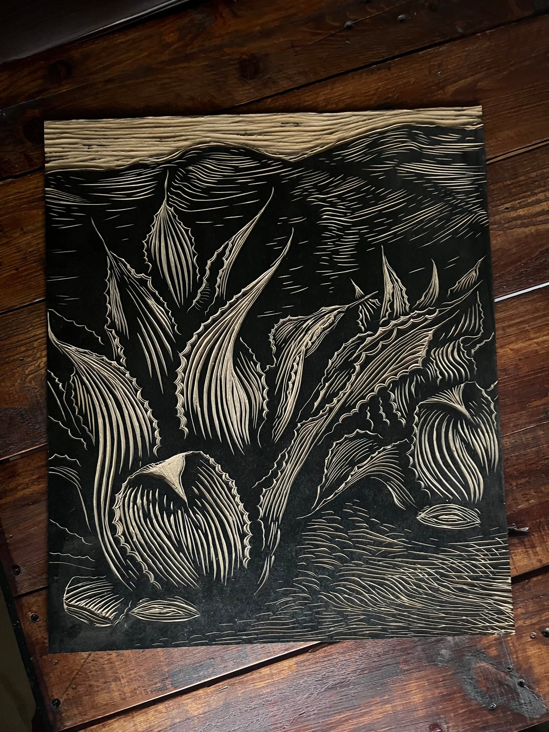 “Agave del monte” (Tepeztate)