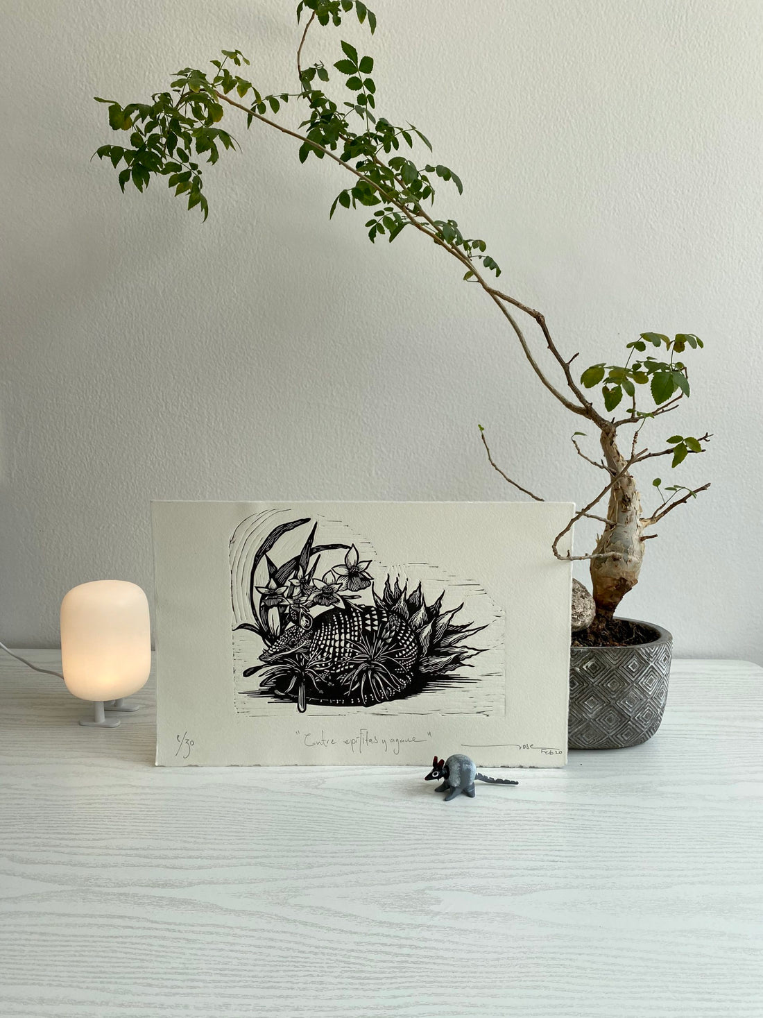 “Entre epífitas y agave” (between epiphytes and agaves)