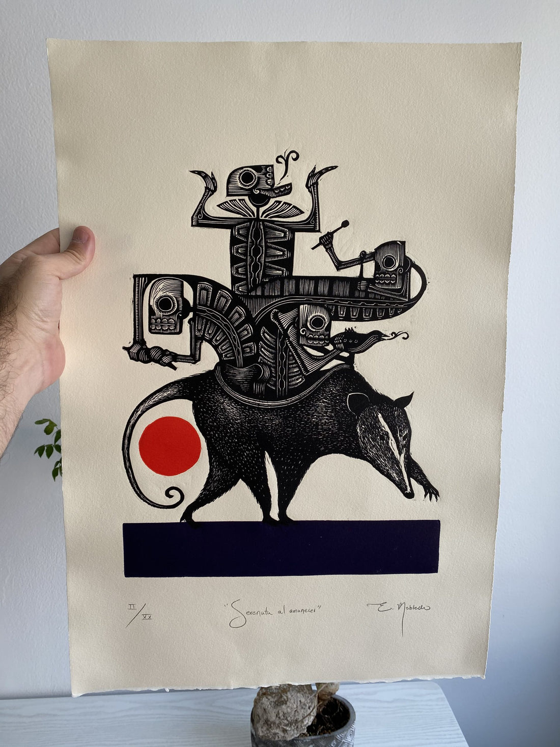 Serenata al amanecer (Reedición)