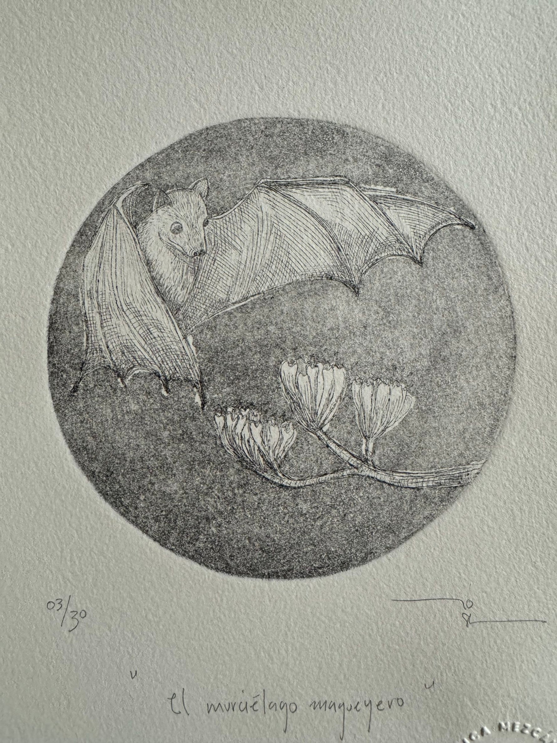 El murciélago magueyero