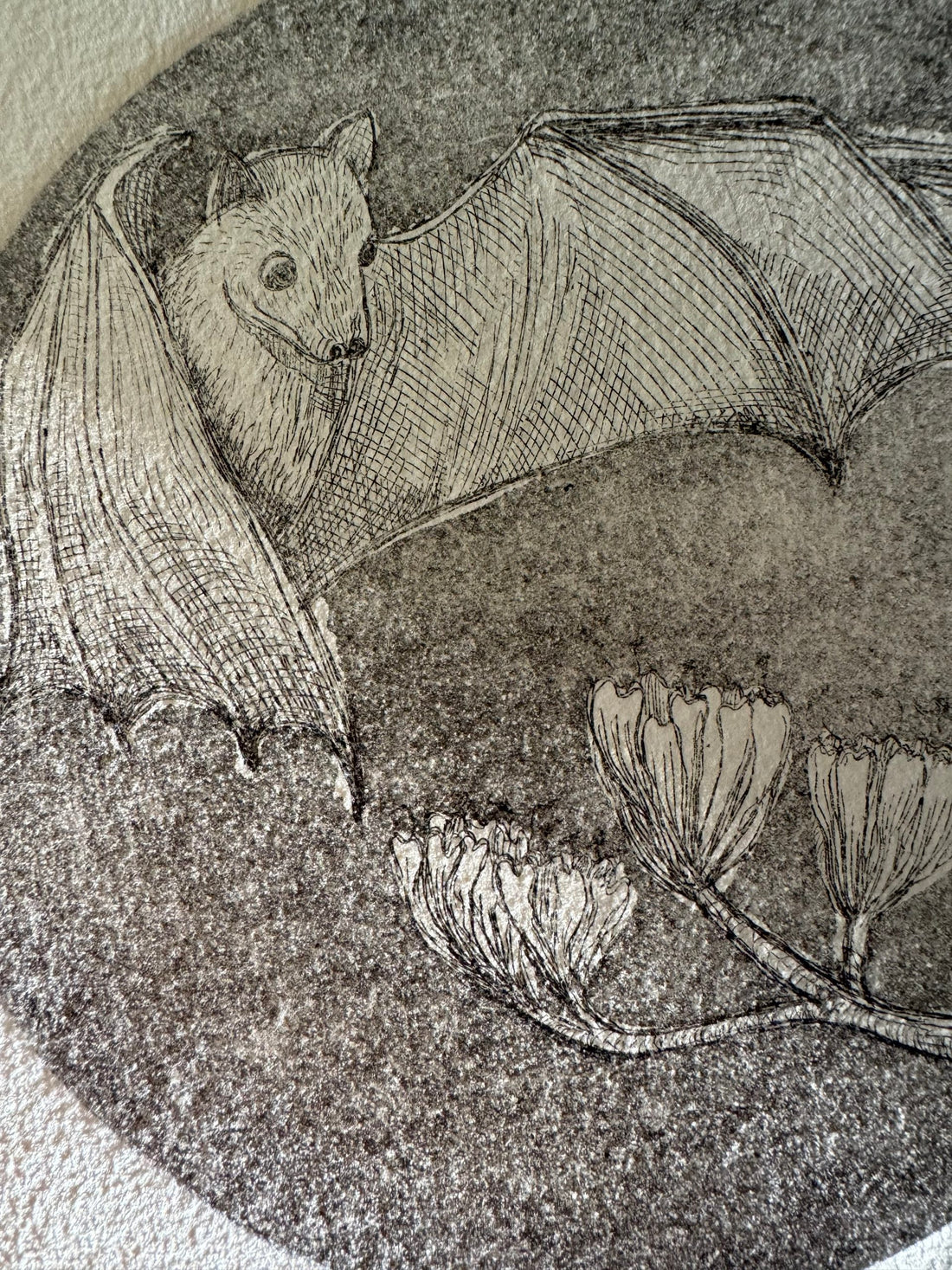 El murciélago magueyero