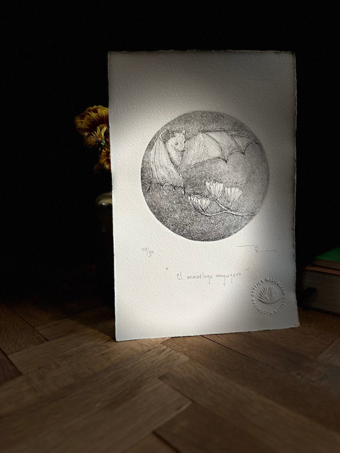 El murciélago magueyero