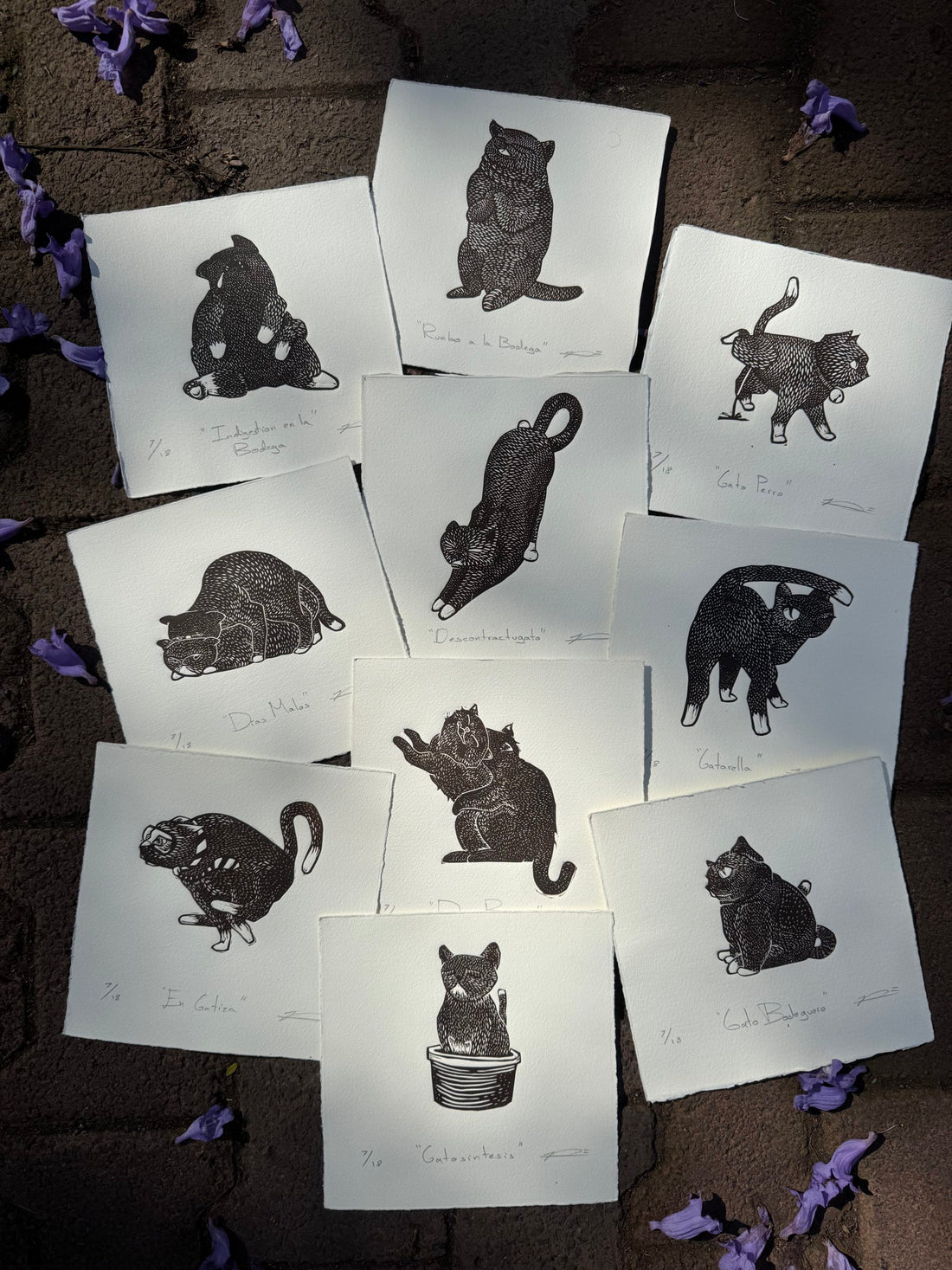 La saga de la bodega (10 gatos)