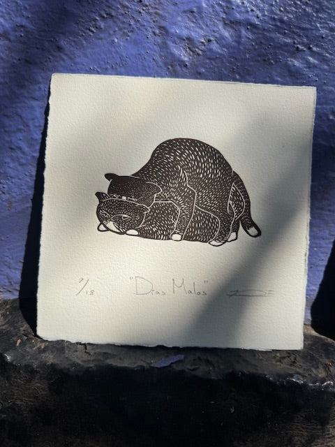 La saga de la bodega (10 gatos)