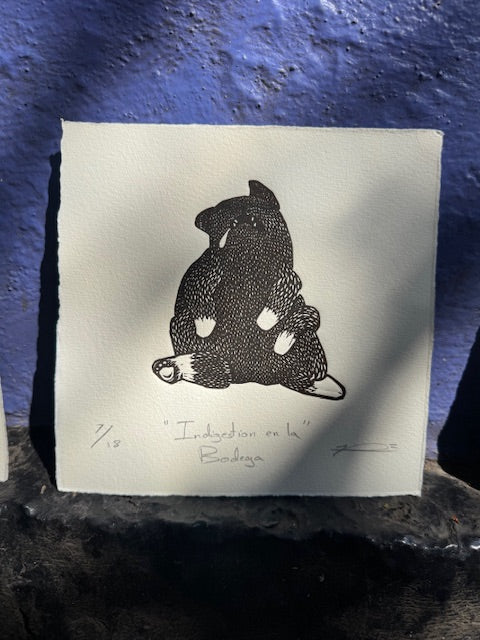 La saga de la bodega (10 gatos)