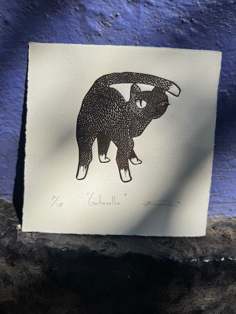 La saga de la bodega (10 gatos)