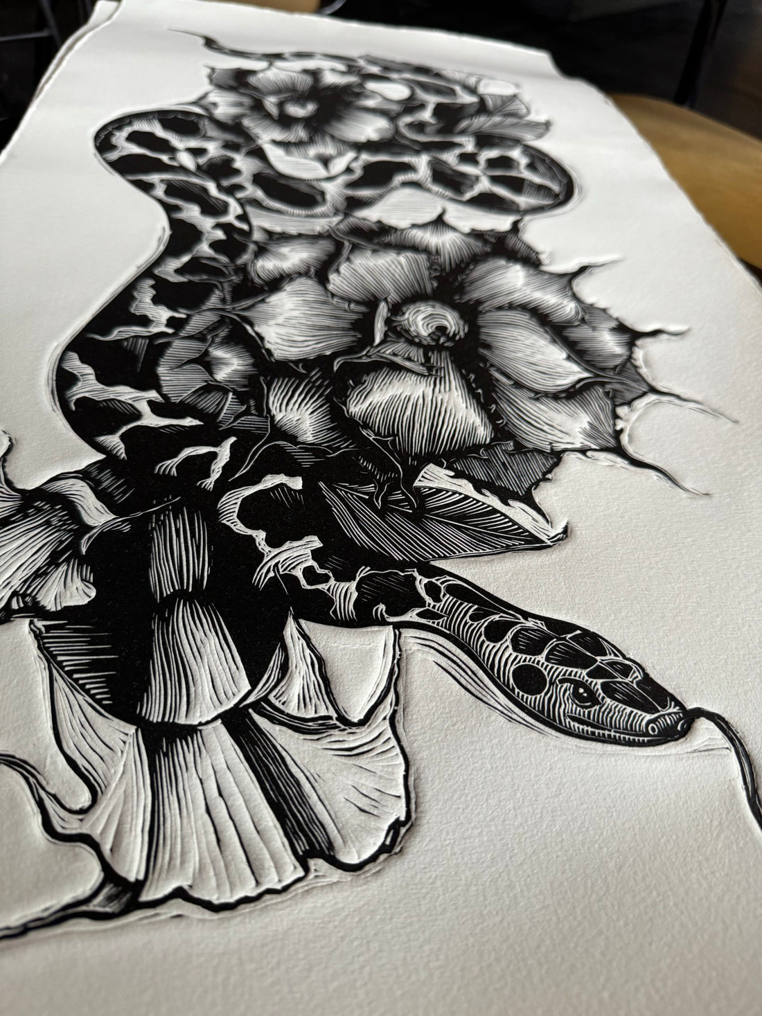 Cincoatl oaxaqueña (Negro)