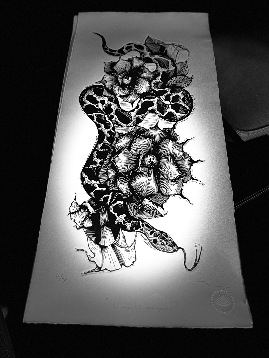 Cincoatl oaxaqueña (Negro)