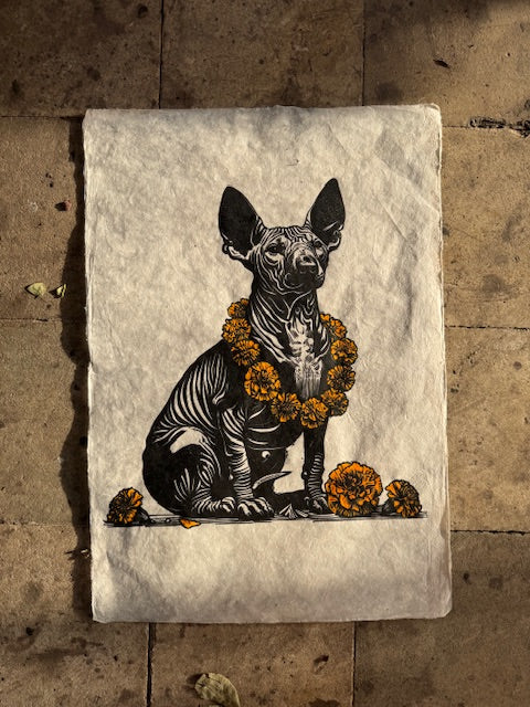 Tlalchichi (acuarela a color)