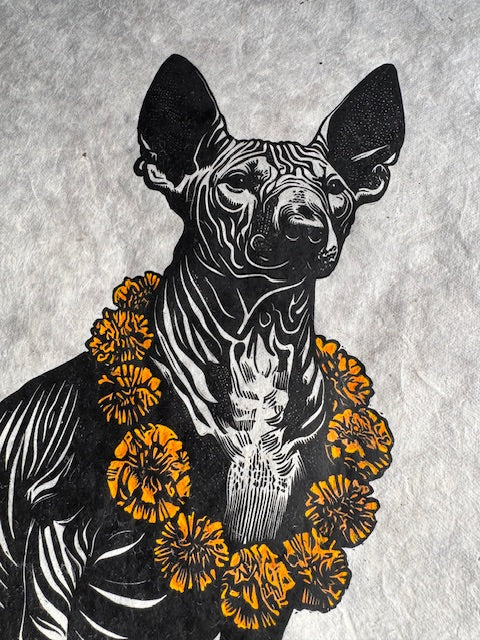 Tlalchichi (acuarela a color)