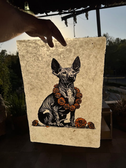 Tlalchichi (acuarela a color)