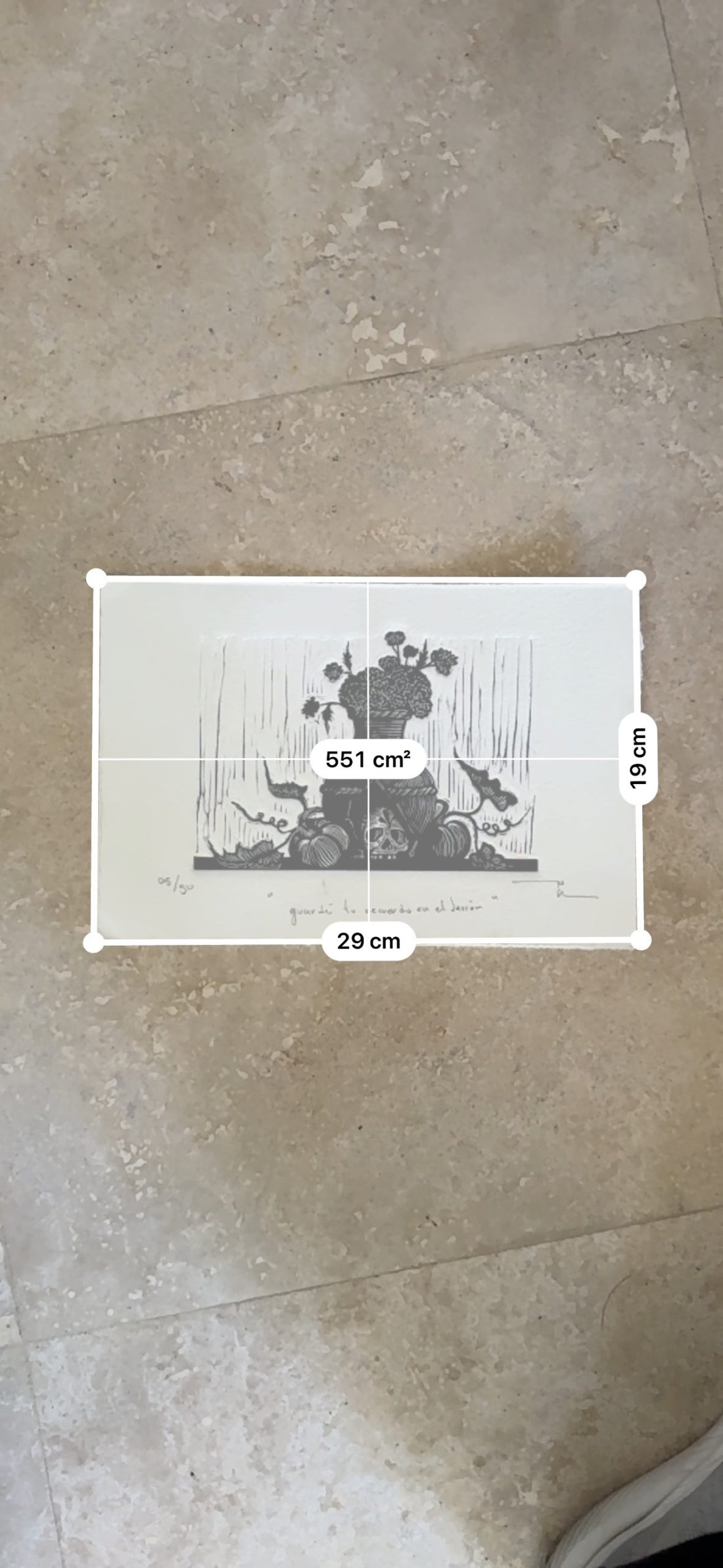 Guardé tu recuerdo en el jarrón