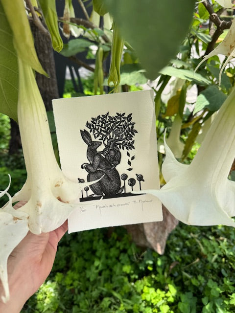 Recuento de la primavera