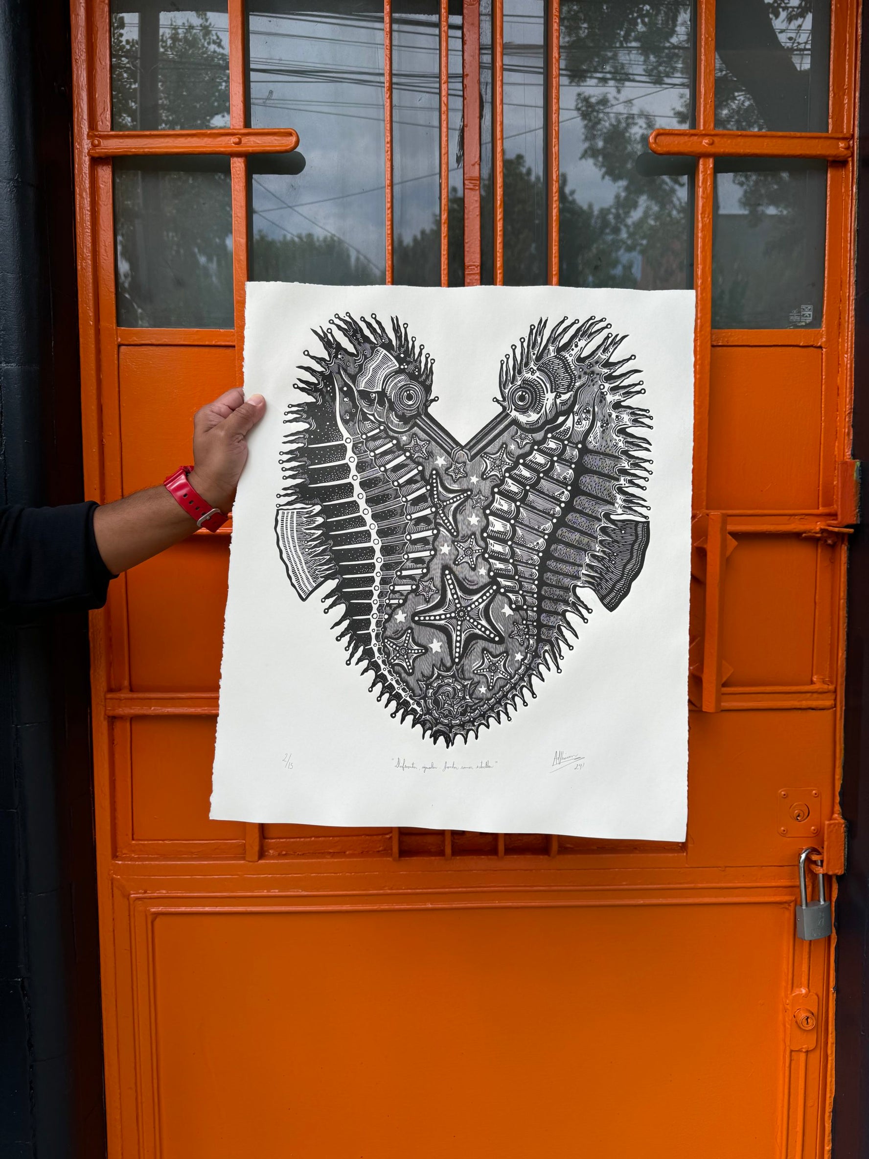 Diferentes, iguales. Juntos somos estrellas