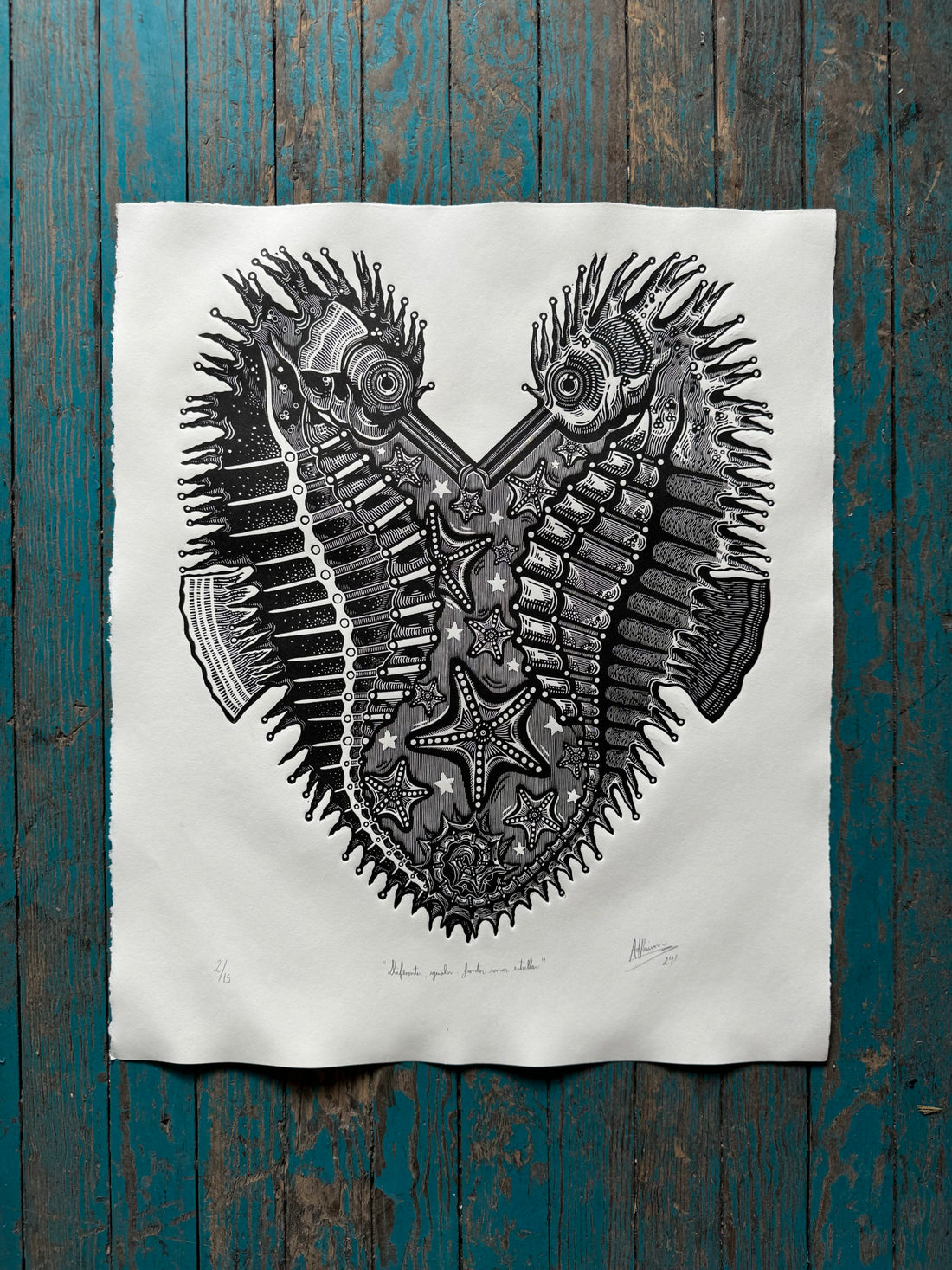 Diferentes, iguales. Juntos somos estrellas