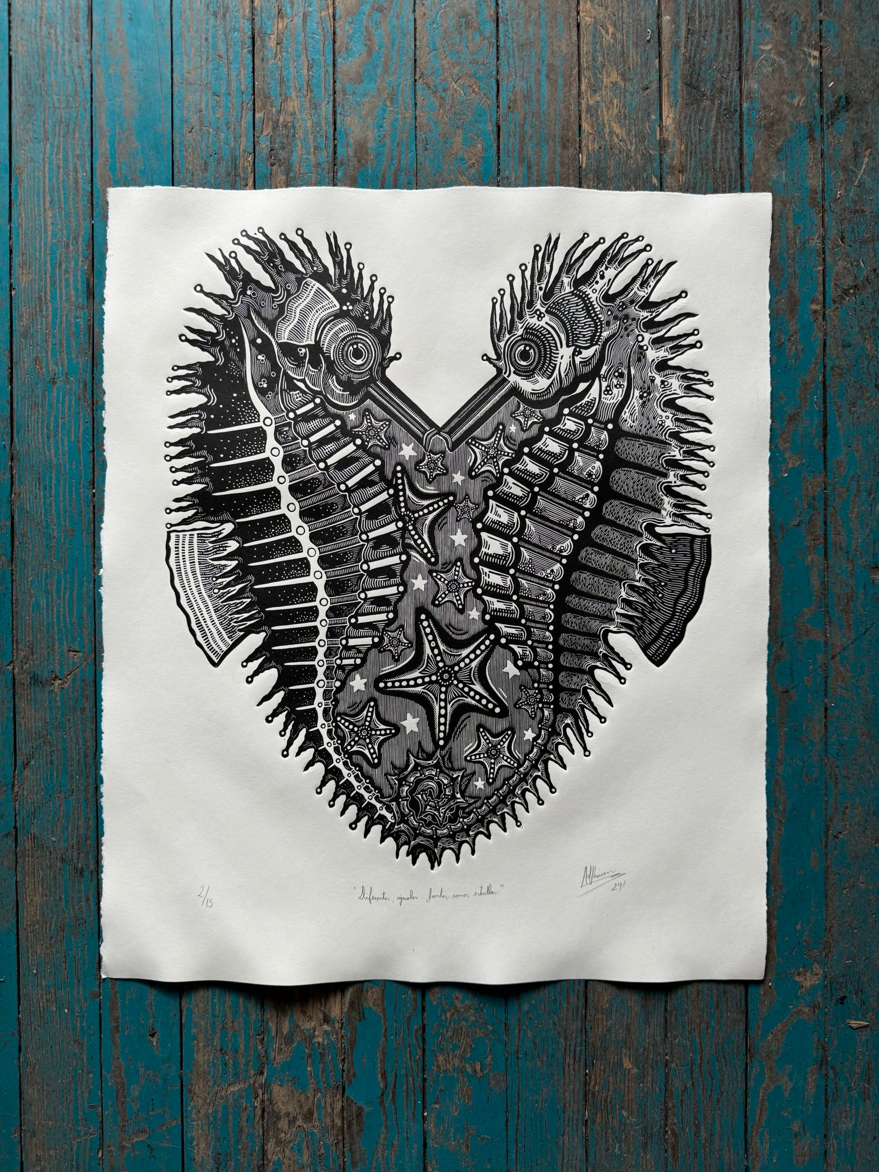 Diferentes, iguales. Juntos somos estrellas