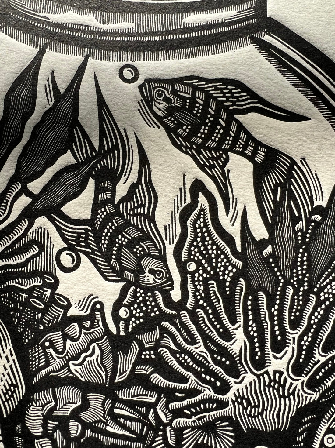 “Salir o resistir”